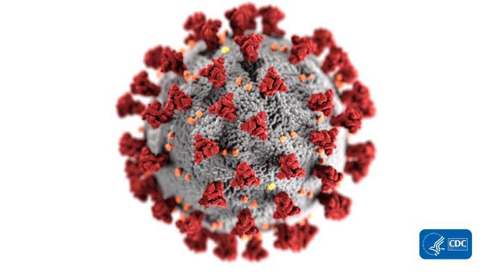 Coronavirus CDC