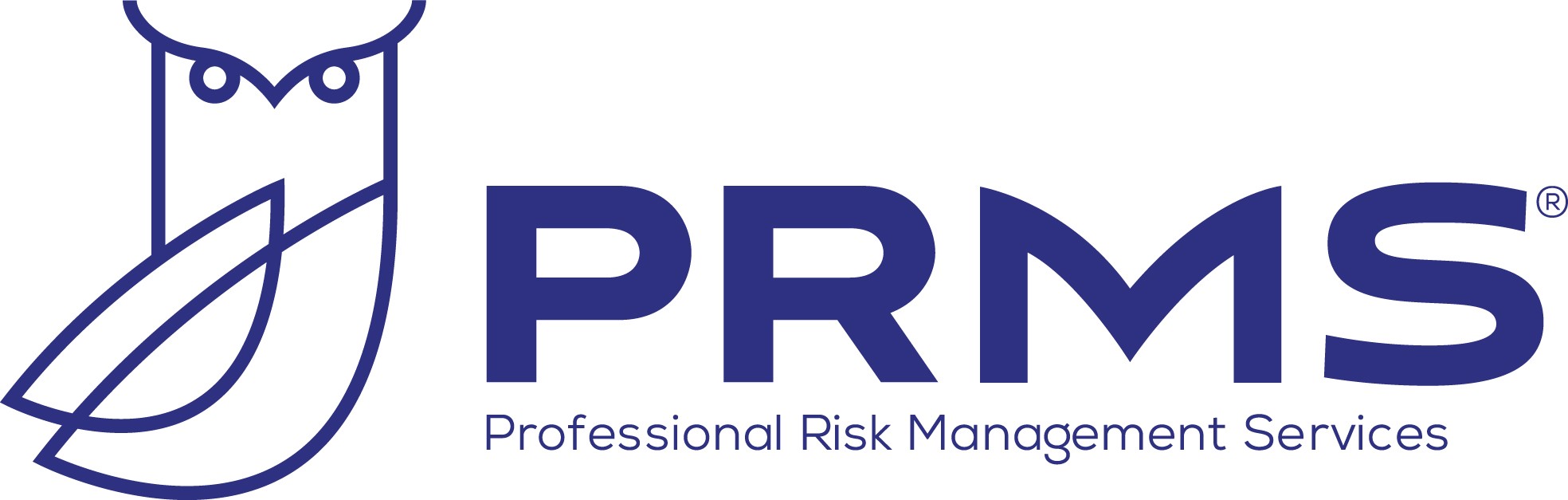 Professional Risk Management Services